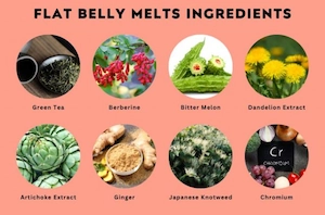Flat Belly Melts ingredients