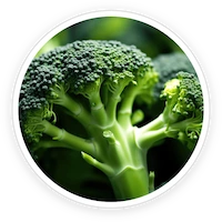 LipoSlend Sulforaphane