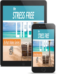 The Stress Free Life System